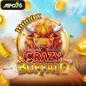 crazy buffalo
