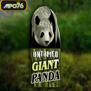 untamed giant panda