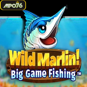 wild marlin big game fishing